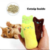 Cute Catnip Toys