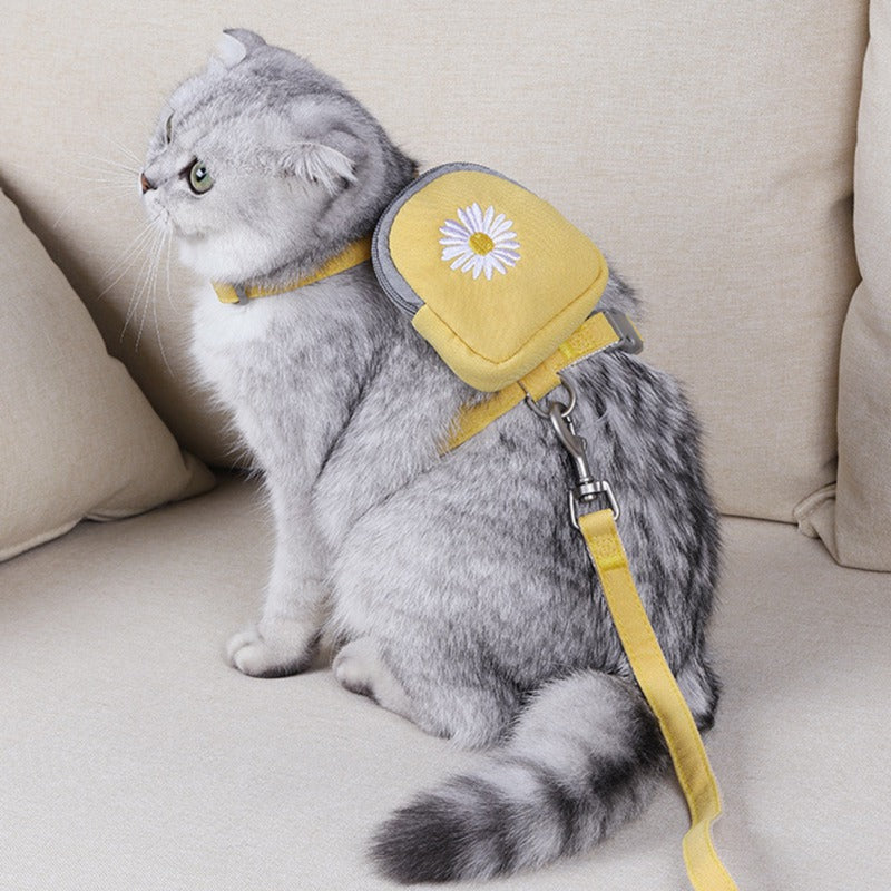 Backpack with Harness