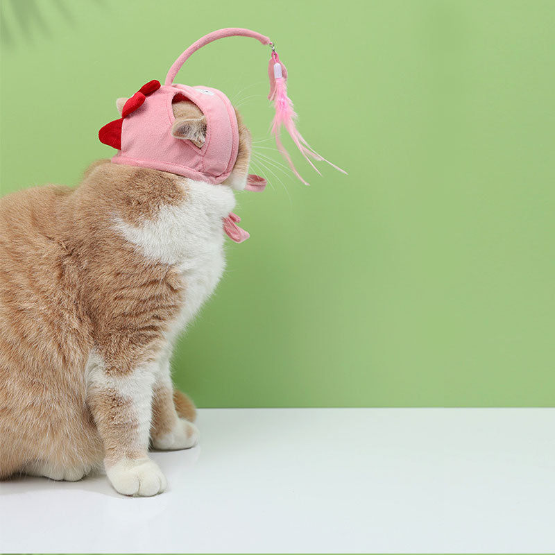 Funny Cat Caps